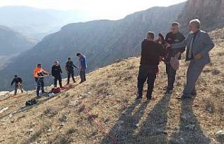 Siirt’te kayalıklarda mahsur kalan keçi kurtarıldı