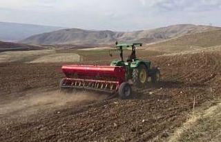 Siirt’te nohut üretimine ilgi arttı