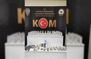 Silifke’de kaçakçılık operasyonları: 2 gözaltı