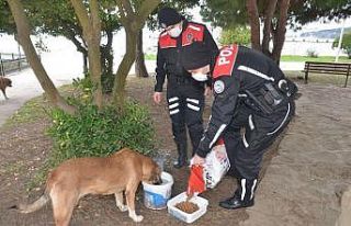 Sinop polisinden can dostlara yiyecek yardımı