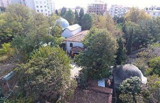 Sinop’un Eyüp Sultan’ı: Başını vermeyen şehit...