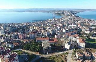 Sinop’un ‘kuş adası’ydı, kuşlar gitti isimleri...