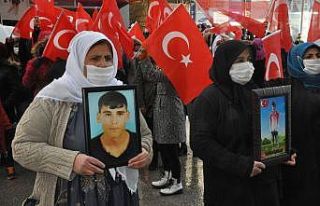 Şırnak anneleri eylemlerinin 20’nci haftasında...