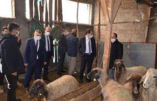 Şırnak’ta eski hükümlüler kendi işlerinin...