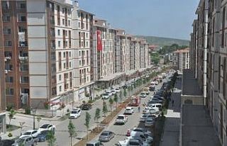 Şırnak’ta kasım ayında 438 aracın devri yapıldı