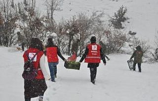 Şırnak’ta yabani hayvanlar için doğaya yem bırakıldı