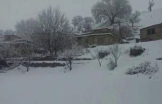 Şirvan yağan kar ile beyaza büründü