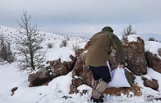 Sivas’ta usulsüz avlanan 4 avcı yakayı ele verdi