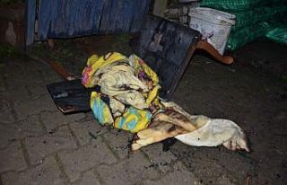 Sobadan sıçrayan kıvılcım evi yaktı