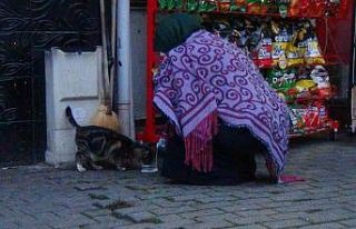Soğuk havada iç ısıtan görüntü