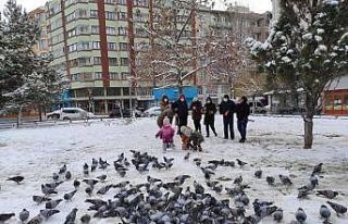 Soğuk havalarda sokak hayvanları unutulmadı