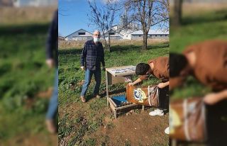 Sokağa çıkma kısıtlamasında can dostlar unutulmadı