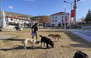 Sokağa çıkma yasağında sevimli patiler unutulmadı