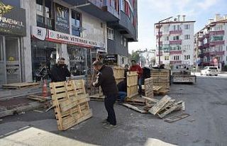 Sokak hayvanları için atık tahta paletlerini sıcak...