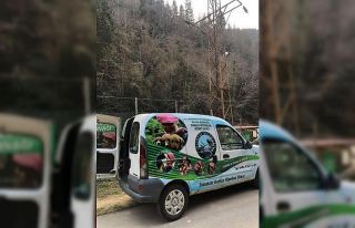 Sokak hayvanlarına ’özel araç hizmeti’