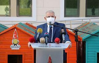 Sokak hayvanlarına sıcak yuva