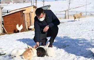 Sokak hayvanlarının sıcak yuvası