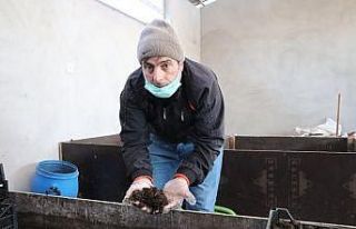 Solucanlarına gözü gibi bakıyor