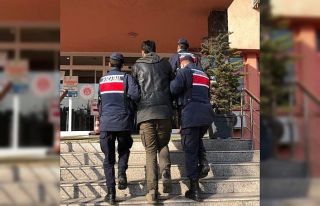 Sosyal medyada terör propagandası yapan 1 şüpheli...