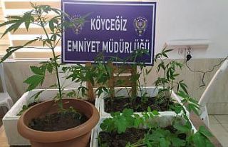 Suç Araştırma ve Soruşturma Büro Amirliği Ekipleri...