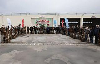 Suluova Belediyesi’nden çiftçilere 1000 adet ceviz...