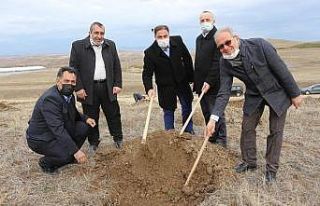 Sungurlu’da bin 500 fidan toprakla buluştu