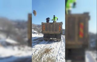 Süt için karlı yollar tuzlandı