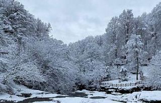Suuçtu Şelalesi beyaza büründü, drone görüntüsü...