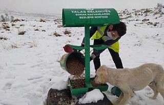 Talas’ın sokak hayvanları özel ekibi