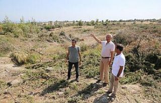 Tarhan: "Doğa katliamına izin vermeyeceğiz"