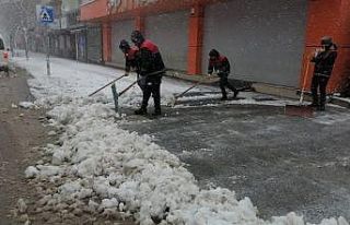 Tatvan Belediyesinden karla mücadele çalışması