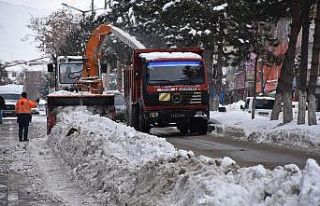 Tatvan’da karlar kamyonlarla şehir dışına taşınıyor