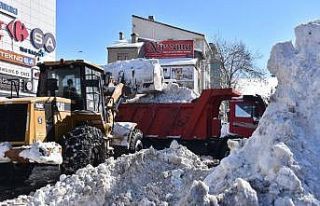 Tatvan’da şehir merkezine bir haftada 2 metre 28...
