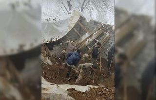 Tavanı çöken ahırın içindeki hayvanlar telef...