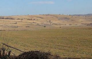 Tehlike çanları çalıyor, çiftçi kara kara düşüyor