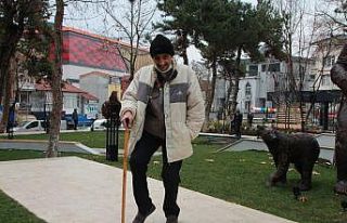 Tek isteği akülü tekerlekli sandalye