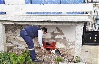 Tekirdağ sokaklarındaki canlar unutulmadı
