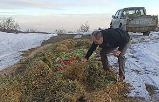 Tekirdağ’da yaban hayatına 1 buçuk ton yem bırakıldı