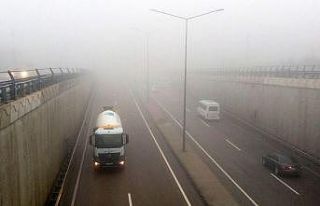 Tekirdağ’da yoğun sis: "Göz gözü görmüyor"