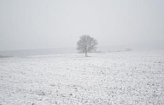 Tekirdağ’ın yüksek kesimleri beyaza büründü