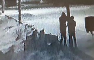 Telefon kablolarını böyle çaldılar