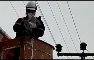 Tellere takılan martı kurtarıldı