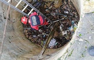 Tilkiyi kurtarmak için seferber oldular