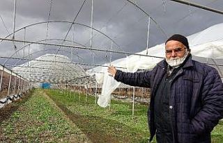 Tokat’ta fırtına seralarda hasara yol açtı