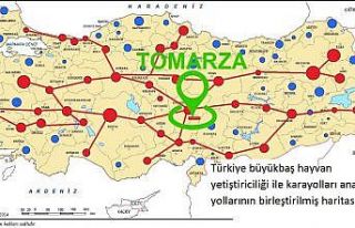 Tomarza için Canlı Hayvan Pazarı Projesi