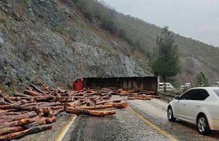 Tomruk yüklü tır devrildi, ilçe yolu ulaşıma...