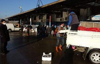 Trabzon Toptancı Balık Hali’ne gelen balık miktarındaki...