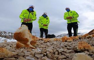 Trafik polisleri hayvanlar için doğaya yem bıraktı