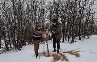 Tunceli’de doğaya keklik ve yem bırakıldı