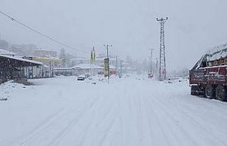 Tunceli’de kar bastırdı, 160 köy yolu kapandı